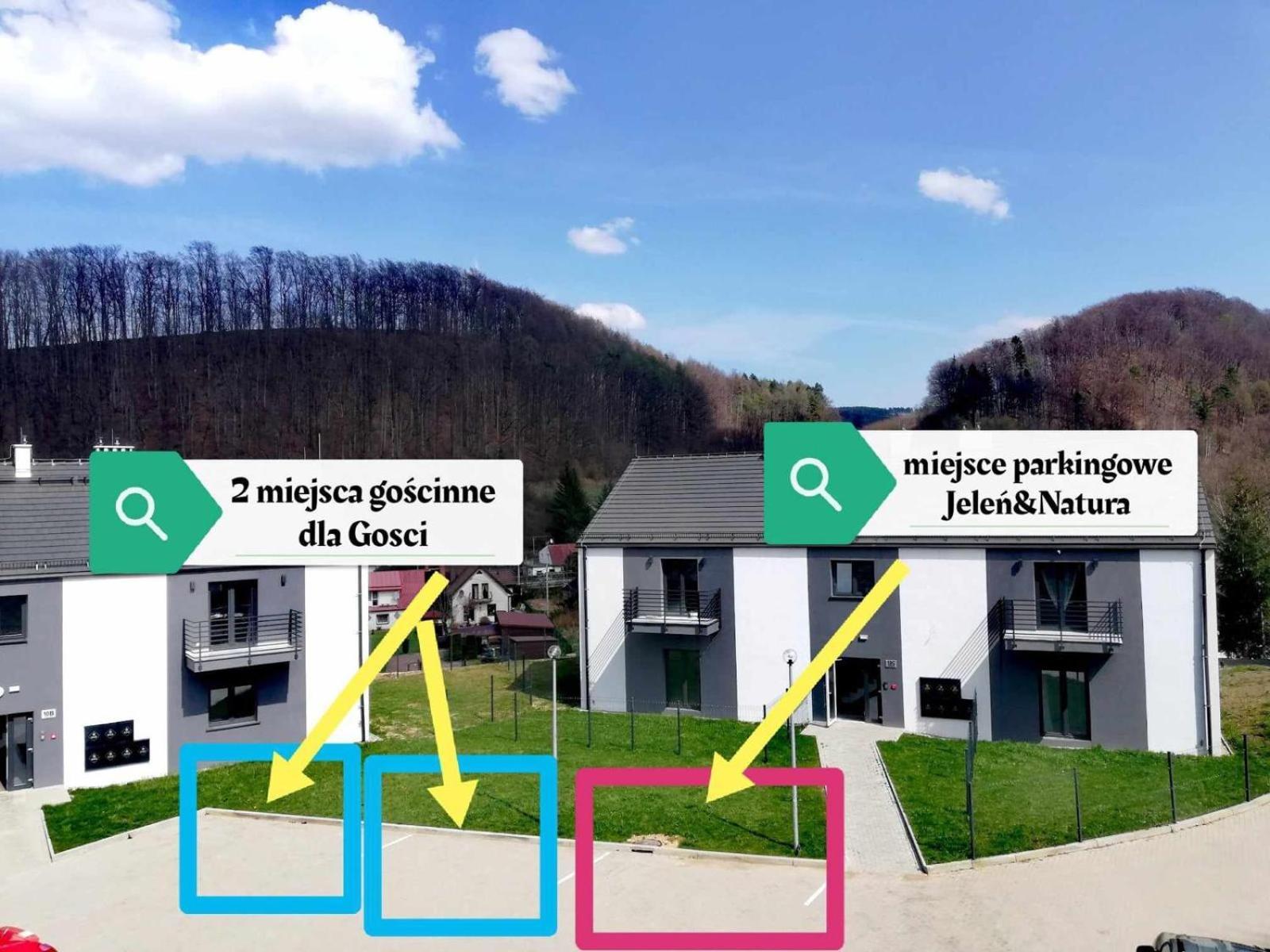 Apartament JELEŃ i NATURA st' WZGÓRZE JELENIÓW Kudowa-Zdrój Exterior foto